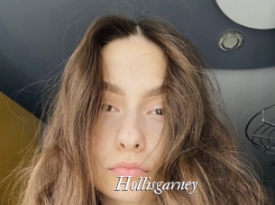 Hollisgarney