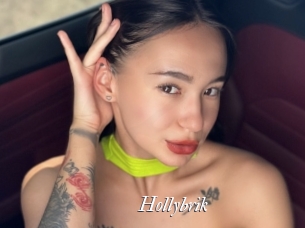 Hollybrik