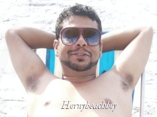Hornybeachboy