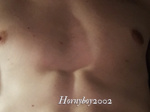 Hornyboy2002
