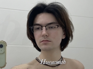 Hoscasmith