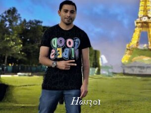 Hoss301
