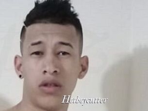 hotboycutter Partouze