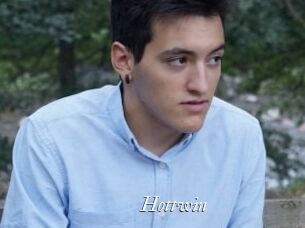 Hottwin