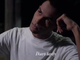 Ikaro_birdy