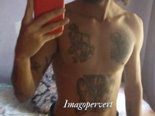 imagopervert Partouze