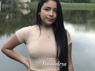 Imcataleya