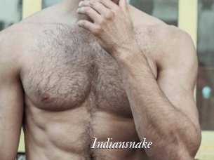 Indiansnake