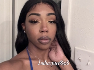 Indiaspice808
