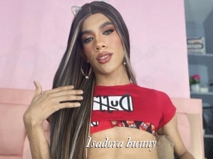 Isadora_bunny