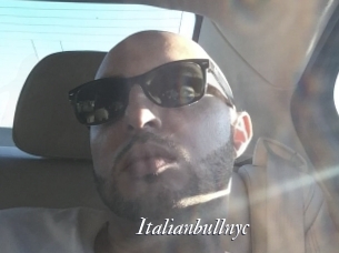 Italianbullnyc