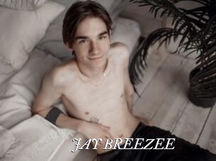 JAY_BREEZEE
