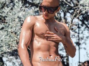JoshuaFox