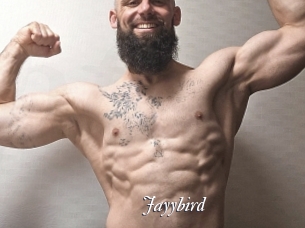 Jayybird