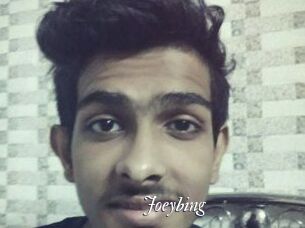 Joeybing