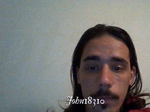 John18310