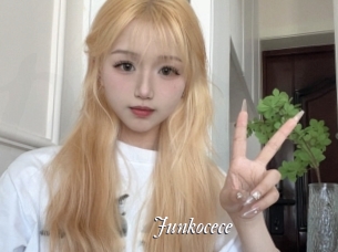Junkocece