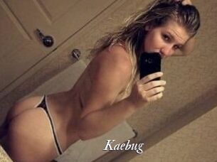 Kaebug