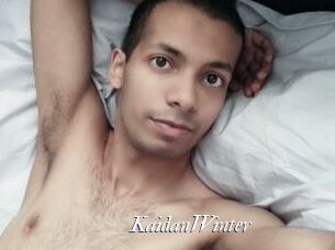 KaidanWinter