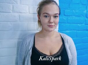 KaliSpark