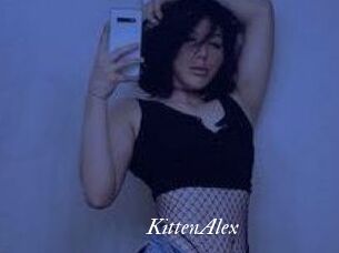KittenAlex