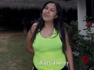 Kitty_Tranny Partouze