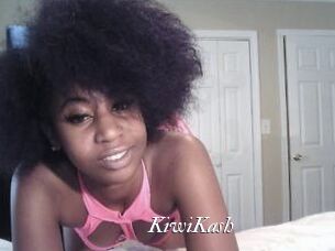 KiwiKash