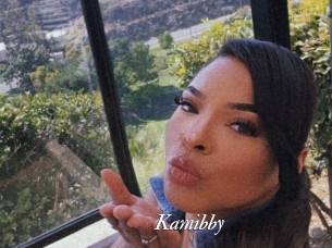 Kamibby