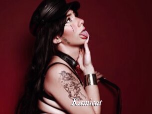 Kamicat