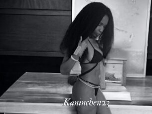 Kaninchen23