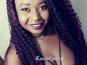 Kannel_passie
