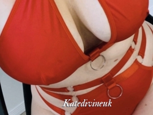 Katedivineuk