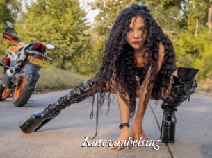 katevanhelsing Partouze