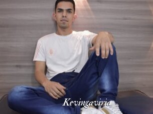 Kevingaviria
