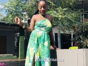 Kinkydynamite