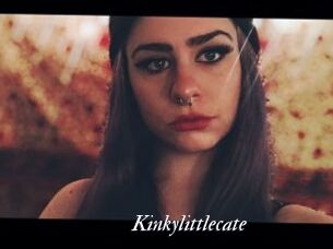 Kinkylittlecate