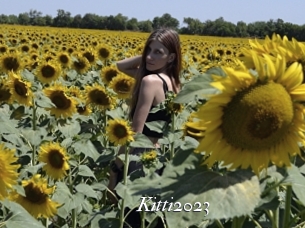 Kitti2023