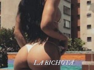 LA_BICHOTA