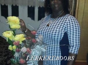 LEKKEREBOOBS