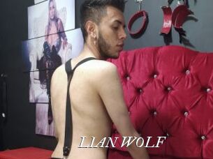 LIAN_WOLF