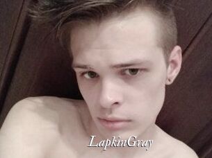 LapkinGray