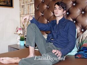LiamDignified