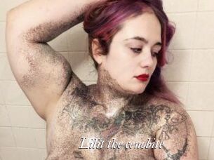 Lilit_the_cenobite Partouze
