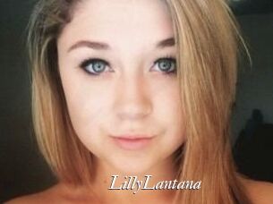 LillyLantana