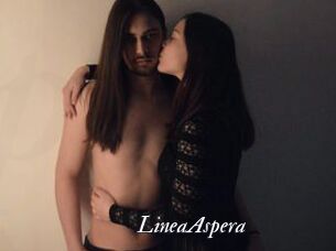 LineaAspera