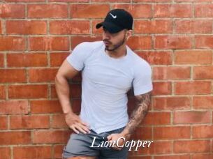 LionCopper Partouze