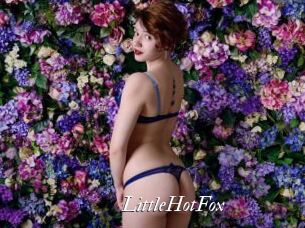LittleHotFox