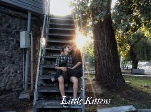 Little_Kittens