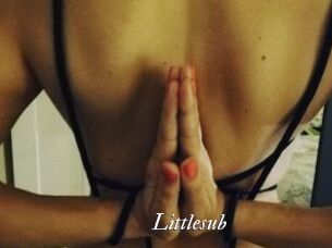 Littlesub