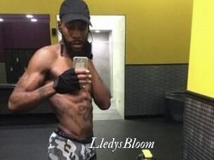 Lledys_Bloom